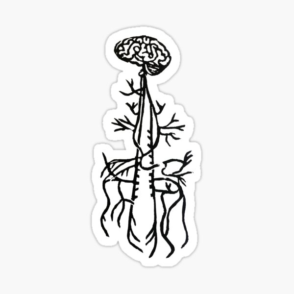 woodblock nervous system Sticker