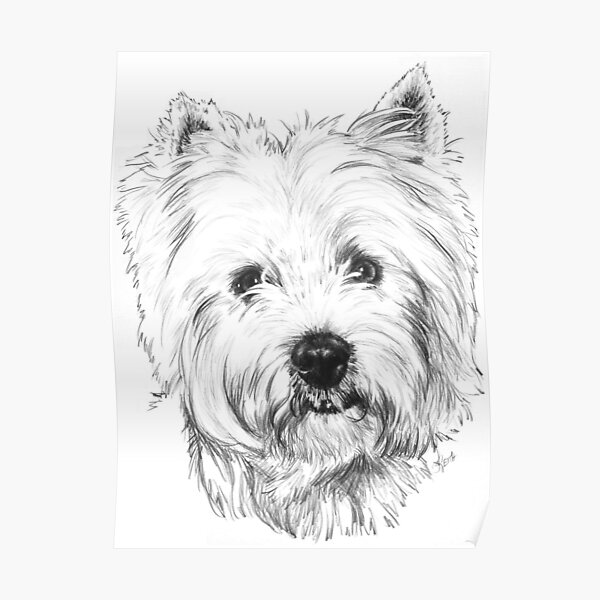 Beloved Westie Portrait in Graphite Poster