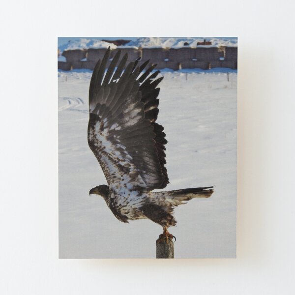 Take to the Air Wood Mounted Print
