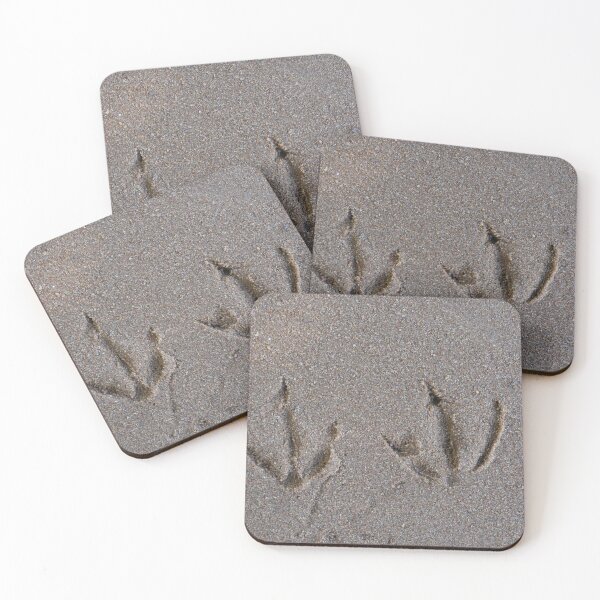 Item preview, duck footprints designed and sold by mrivserg.