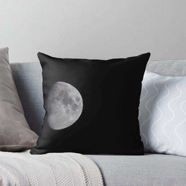 Fly me to the moon - Llévame a la luna Cojín