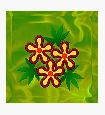 Flower - Green Photographic Print