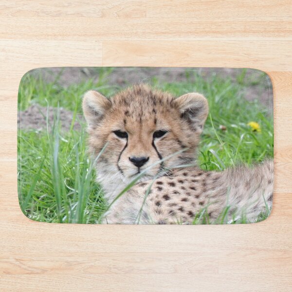 Item preview, Cheetah 011 designed and sold by JAMFoto.