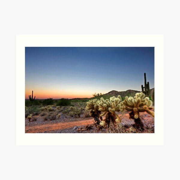 The Three Chollas Art Print