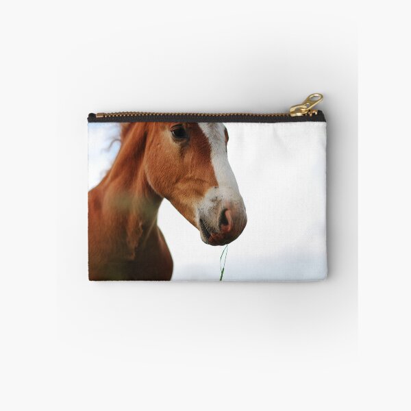 Item preview, Het Ruiternetwerk designed and sold by Aurealis Creatief.
