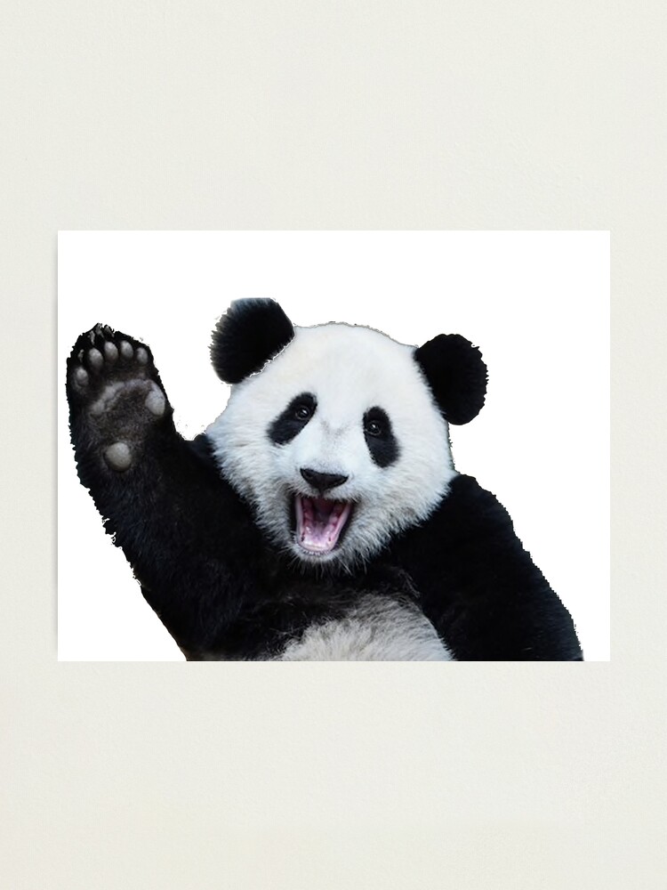 Susser Panda Winkt Fotodruck Von Pgracew Redbubble