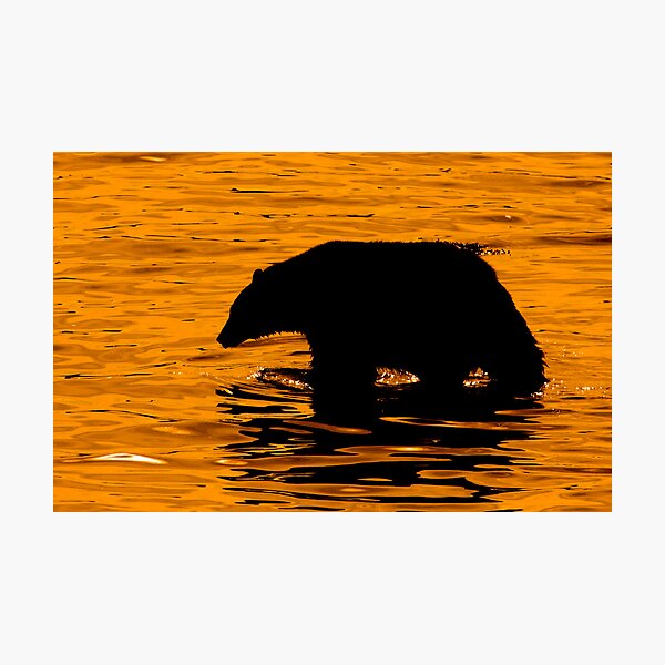 Returning Home Photographic Print