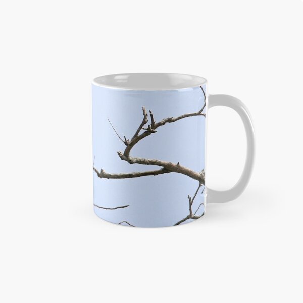 Item preview, Mississippi Kite with Texas Katy Did designed and sold by SuddenJim.