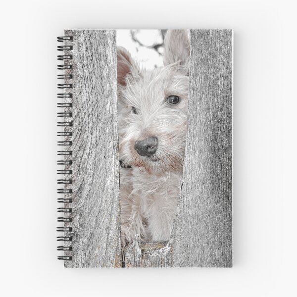 Item preview, Scottie Security designed and sold by IMAGETAKERS.