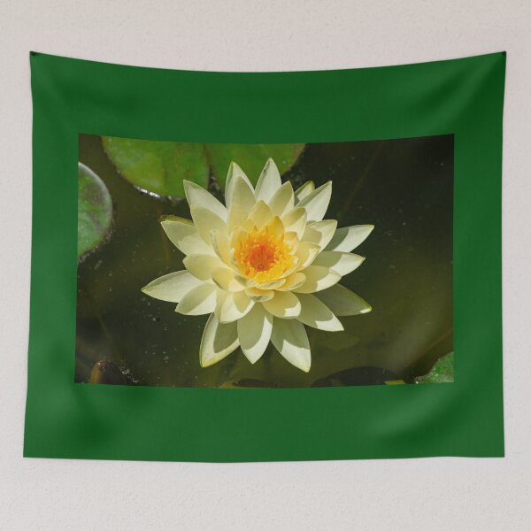 Item preview, White water lily designed and sold by Martin Leber.