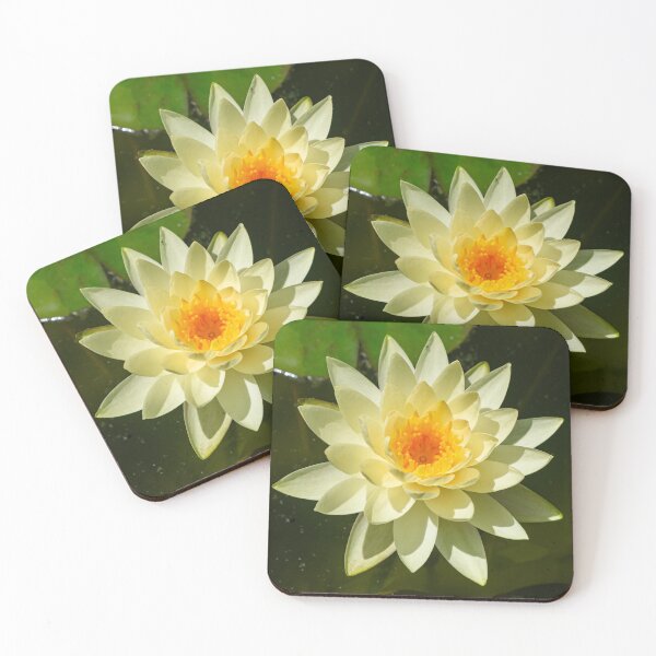 Item preview, White water lily designed and sold by Martin Leber.