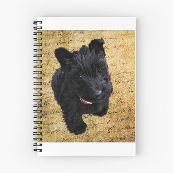 Item preview, Manuscript Scotty designed and sold by IMAGETAKERS.