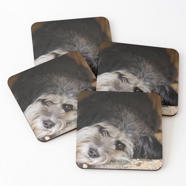 Item preview, Dog ~ noapte buna ~ designed and sold by laura-S.