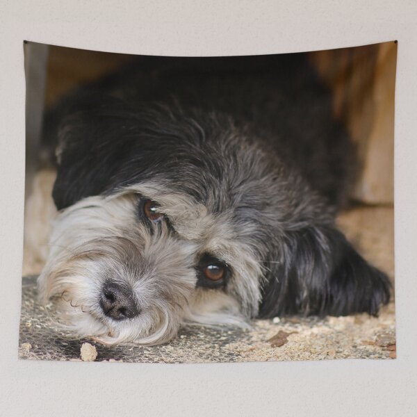 Item preview, Dog ~ noapte buna ~ designed and sold by laura-S.