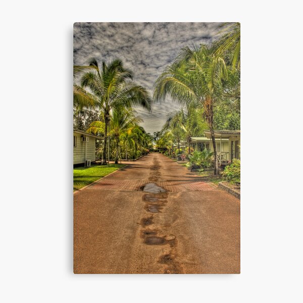Free Spirit Metal Print
