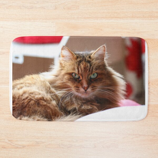 Item preview, Fluffy cat designed and sold by GreyFeatherPhot.