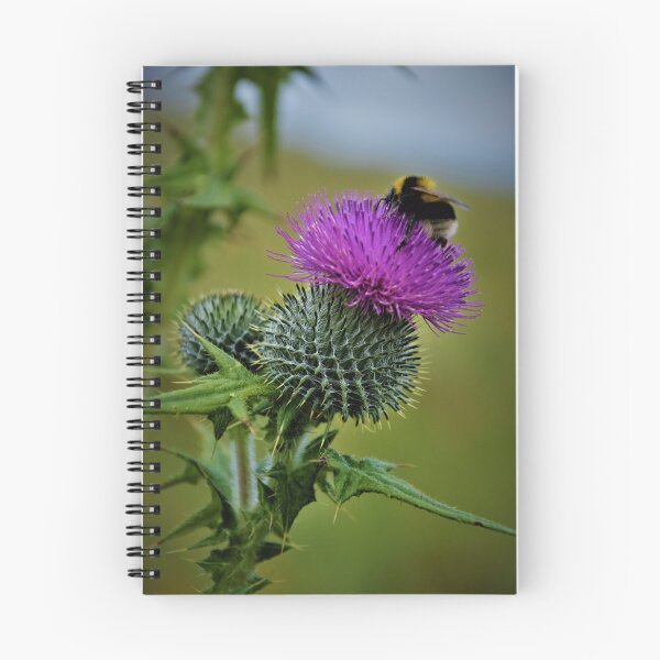 Item preview, Scottish Bee designed and sold by jmnicolson.