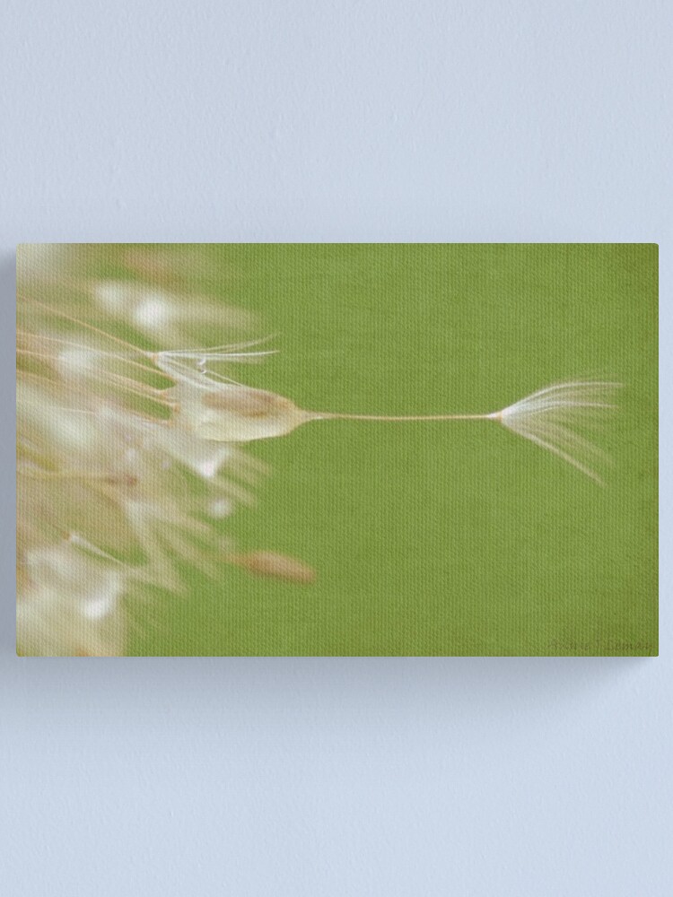 Alternate view of Dandelion Canvas Print