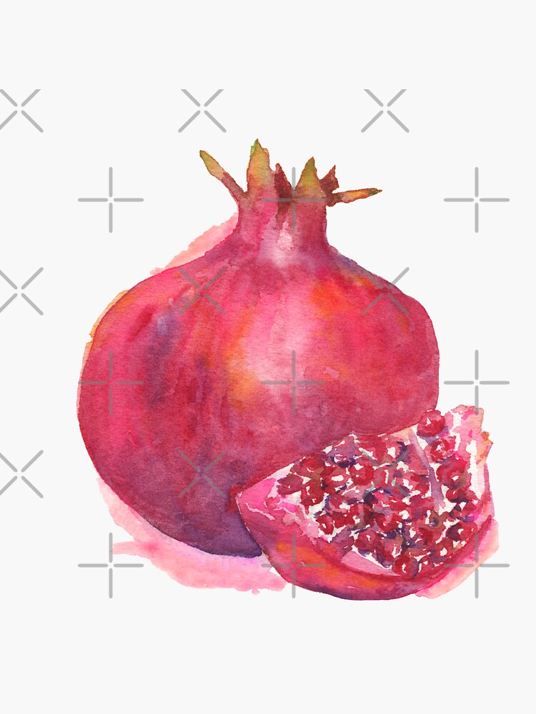 Disover Watercolor Pomegranate Sticker