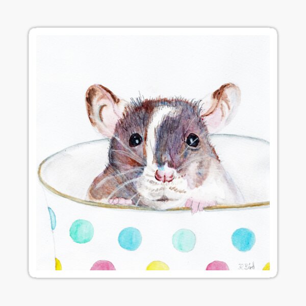 Teacup Rat Sticker