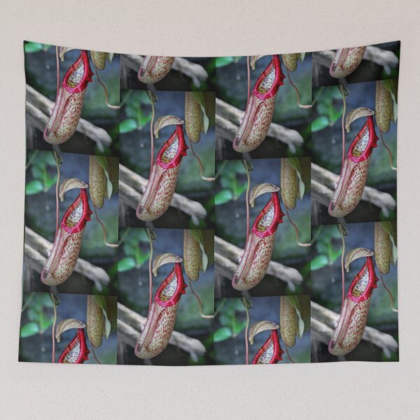 Item preview, Nepenthes designed and sold by Savannah Gibbs.