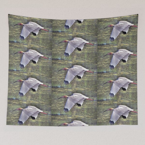 Item preview, White Ibis Flying designed and sold by Savannah Gibbs.