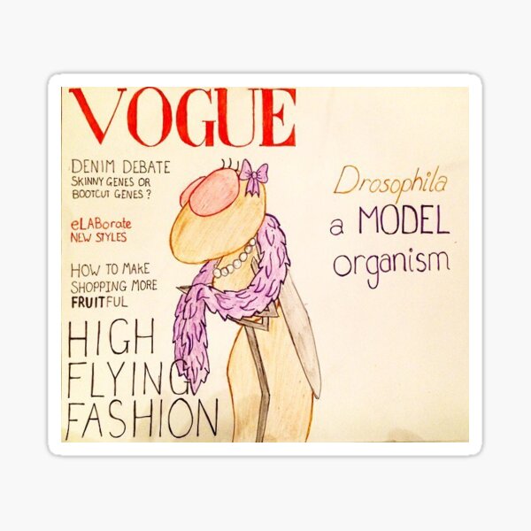 A Model Organism Sticker