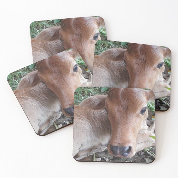 Item preview, Pretty Little Calf designed and sold by Red bubble Artist.