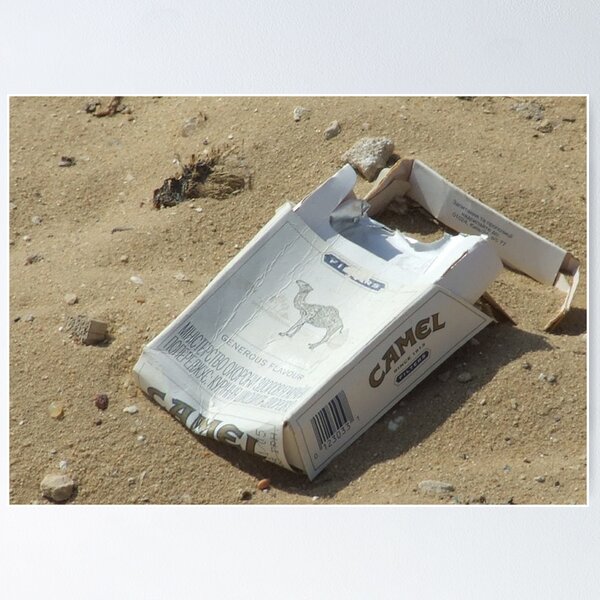 Artikelvorschau, Kamel im Sand entworfen und verkauft von exvista.