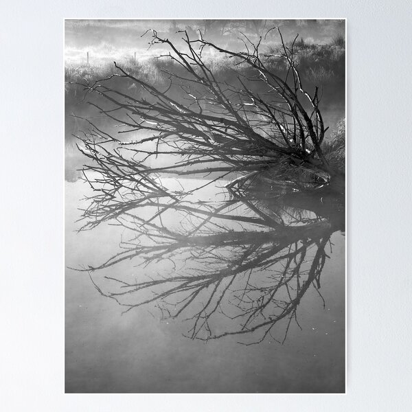 Item preview, Damn Reflections in black & white designed and sold by Michelle Thompson.