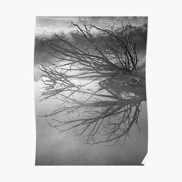 Damn Reflections in black & white Poster