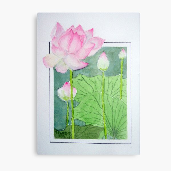 "Lotus" Metal Print