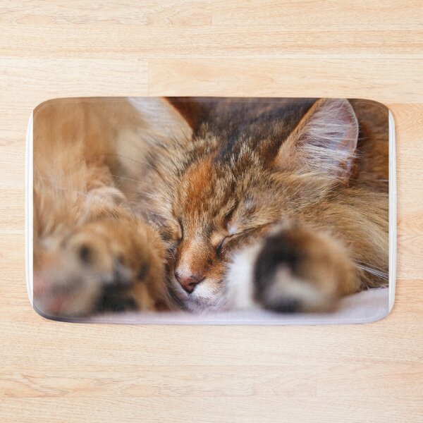 Item preview, Cat nap designed and sold by GreyFeatherPhot.