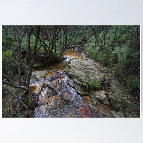 Item preview, Sandstone Creek Bed Popes Glen designed and sold by Geoff Smith.