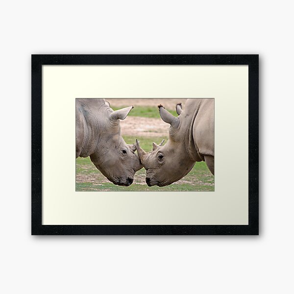 En Garde Framed Art Print