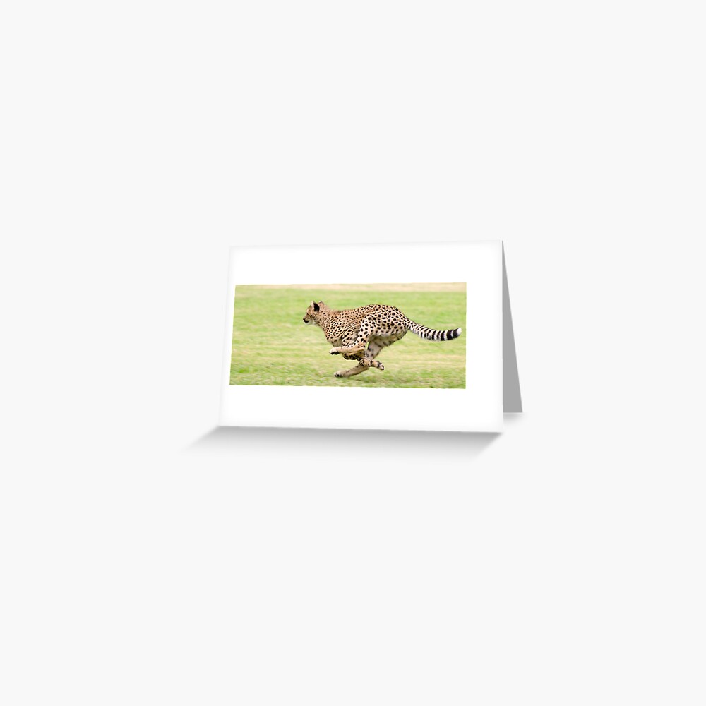Speed Greeting Card