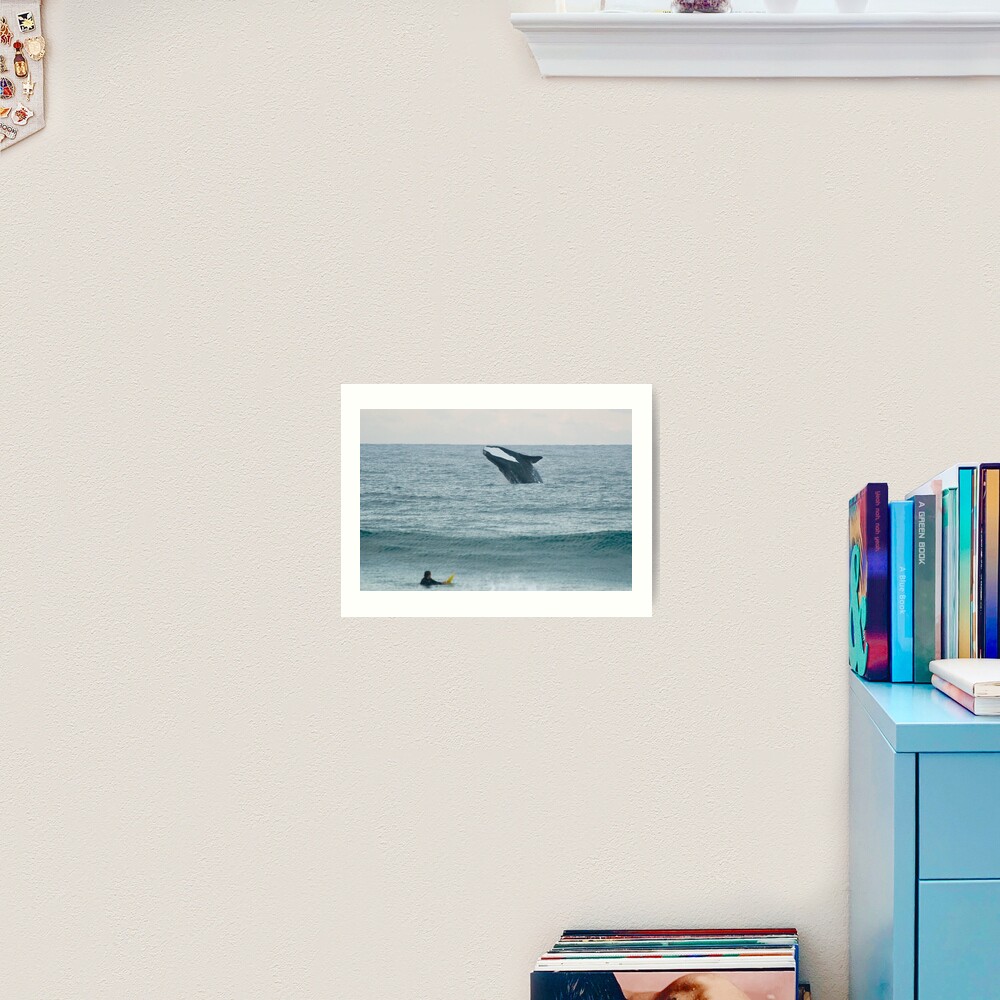 Southern Right Whale Art Print