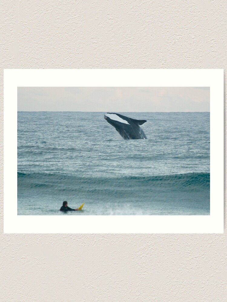 Alternate view of Southern Right Whale Art Print