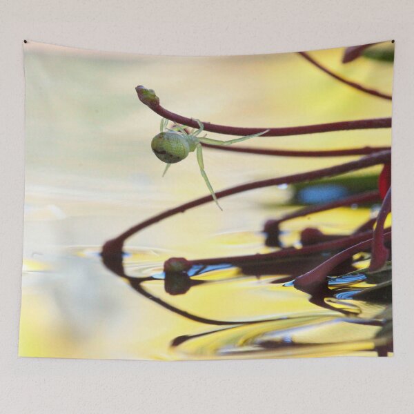 Item preview, green crab spider hanging on  Grevillia Weranga QLD Australia designed and sold by Amanda Marchant Fine Art Photography.