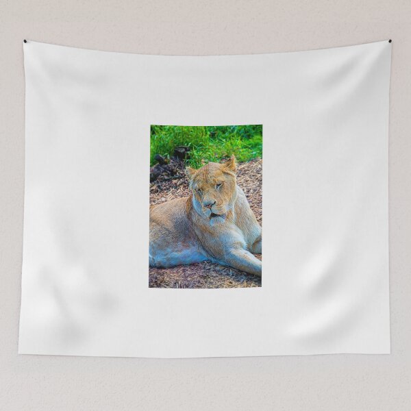 Item preview, Lion Panthera leo designed and sold by Chris Thaxter.