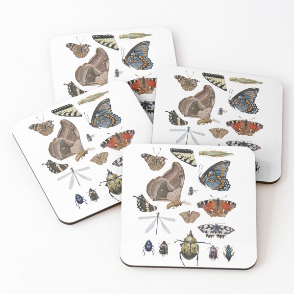 Item preview, My Museum: Beetles, Bugs, and Butterflies designed and sold by PostlesLodge.