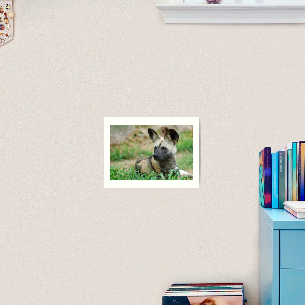 African Wild Dog Art Print