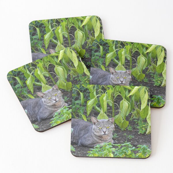 Item preview, Charley designed and sold by Manon Boily.
