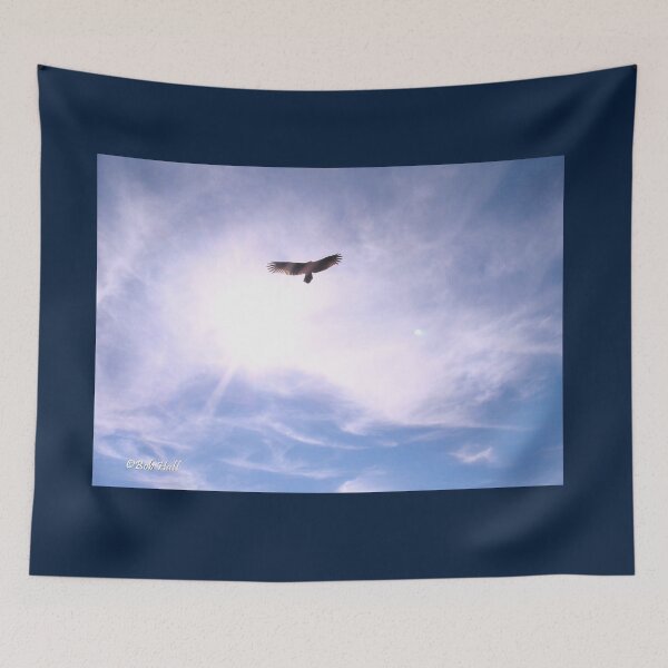 Item preview, "Freebird," Photo, for prints and products designed and sold by Bob Hall©.