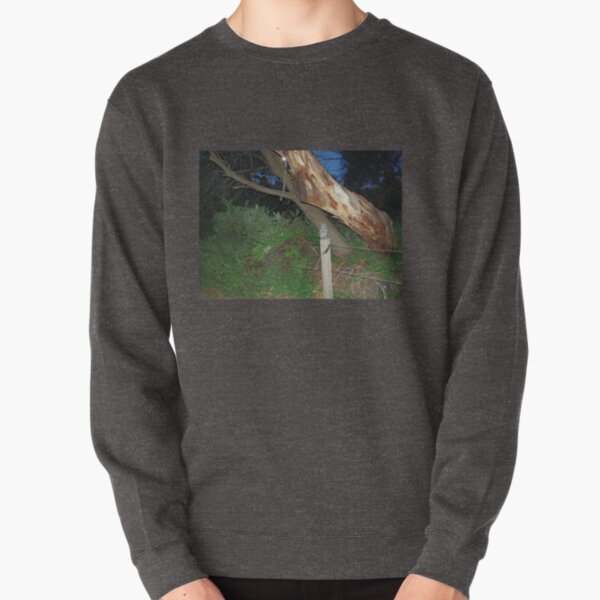 Tawny Frogmouth Owl - Coles Bay Pullover Sweatshirt