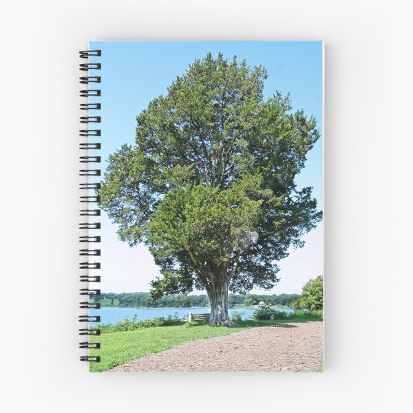 Item preview, Old Cedar on the Wye River designed and sold by Eileen McVey.