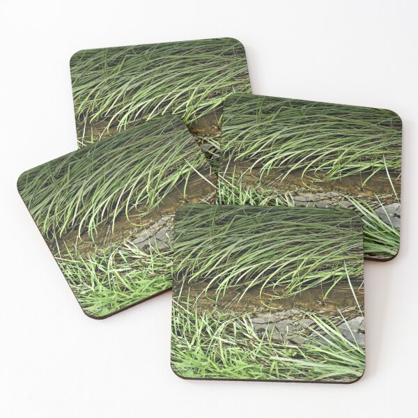 Item preview, "A Streamlet Runs Through It"... prints and products designed and sold by Bob Hall©.