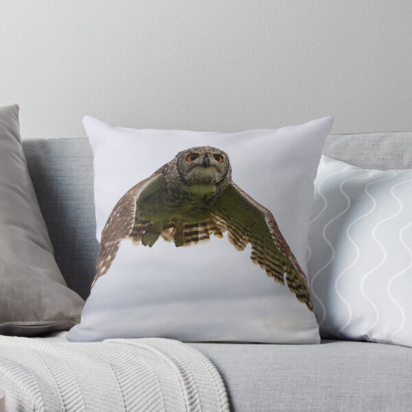 Item preview,  Sudáfrica. Cabo Eagle Owl en pleno vuelo ... designed and sold by BlaizerB.