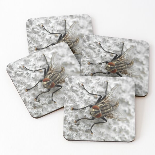 Item preview, ©NS Too Windy To Fly Safe IA designed and sold by OmarHernandez.