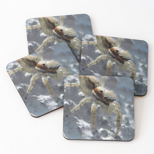 Item preview, ©NS A Spider Life XXI IA designed and sold by OmarHernandez.